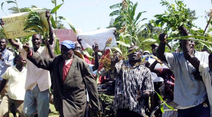 Locals defy Raila’s advice on Yala swamp, to sue NLC over land lease