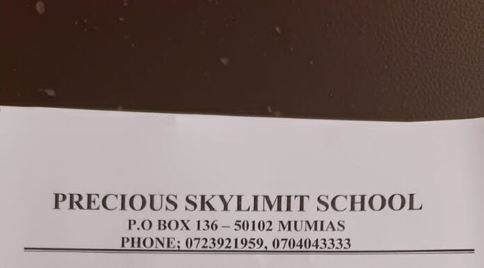 Teachers wanted at Precious Skylimit Academy