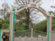 Nambale Boys Posts Impressive Results in KCSE