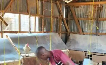 How St Annes’ Girls School in Mumias Benefits from CBC’s through Farming