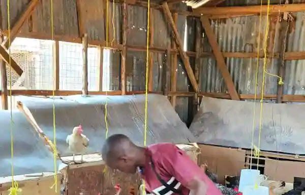 How St Annes’ Girls School in Mumias Benefits from CBC’s through Farming