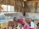 How St Annes’ Girls School in Mumias Benefits from CBC’s through Farming