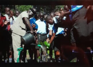 Oriwo Boys High School Celebrates Eid-ul-Fitr with Tree Planting Initiative