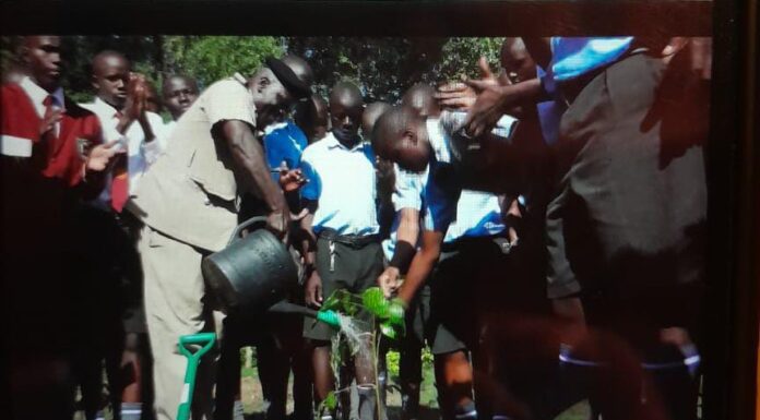 Oriwo Boys High School Celebrates Eid-ul-Fitr with Tree Planting Initiative