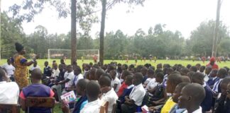 Namulungu Secondary Reawakens the Giant with Colourful Cultural Day