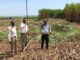 Tension as Sugar Firms Clash Over Farmers After Operations Resume