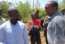 Mumias Sugar Resumes Operations After Two-Month Shutdown