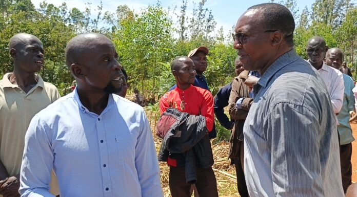 Mumias Sugar Resumes Operations After Two-Month Shutdown