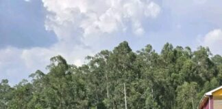 Nabulindo Hands Over Site for Construction of KMTC Matungu Hostels