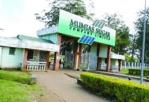 How Mumias Sugar Is Restoring Hope and Transforming Lives Across Western Kenya.