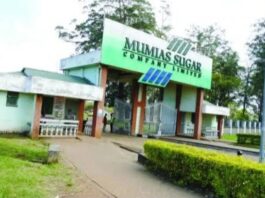 How Mumias Sugar Is Restoring Hope and Transforming Lives Across Western Kenya.