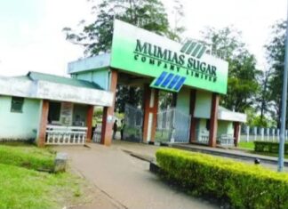 How Mumias Sugar Is Restoring Hope and Transforming Lives Across Western Kenya.