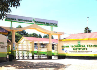 Why Thousands of Students Are Choosing Kisiwa National Polytechnic